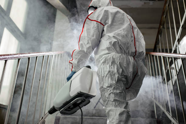 Best Mold Remediation for Vacation Homes  in Denton, MD